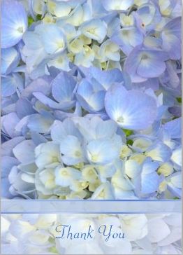blue hydrangea card