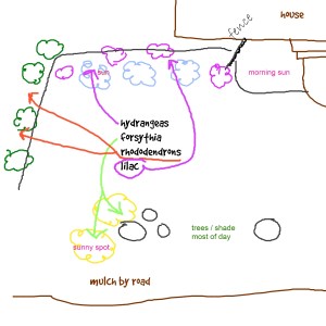 sketch of yard on paper