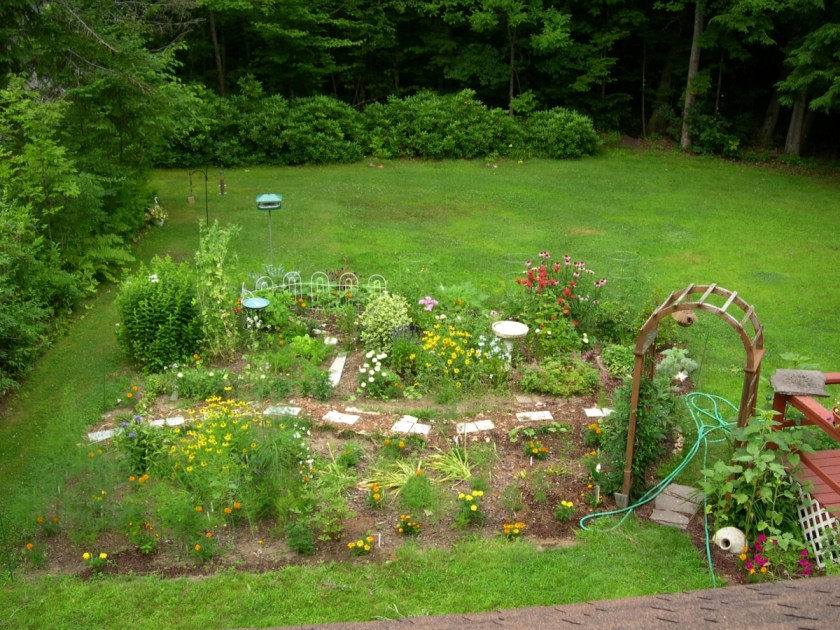 backyard garden