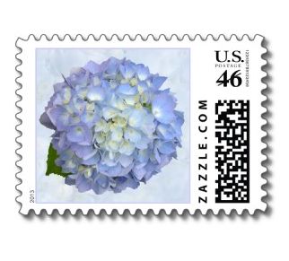 blue hydrangea postage