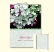green hydrangea note card