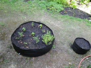 large fabric raised garden