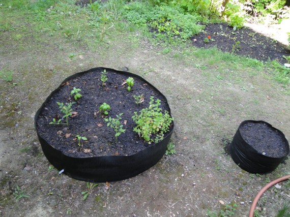 large fabric raised garden