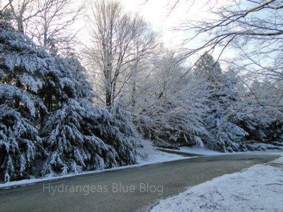 morning april snow road
