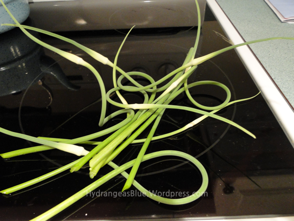 garlic scapes