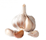 hardneck garlic bulb cloves