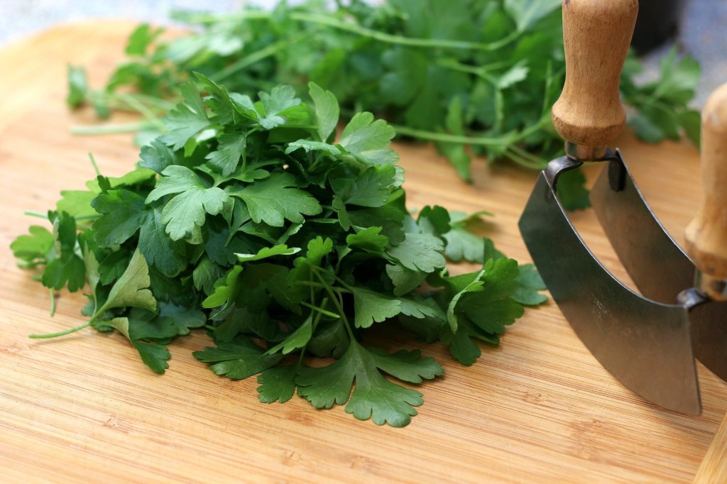 parsley fresh flat leaf