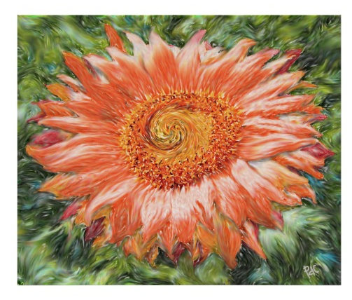 orange sunflower abstract art poster
