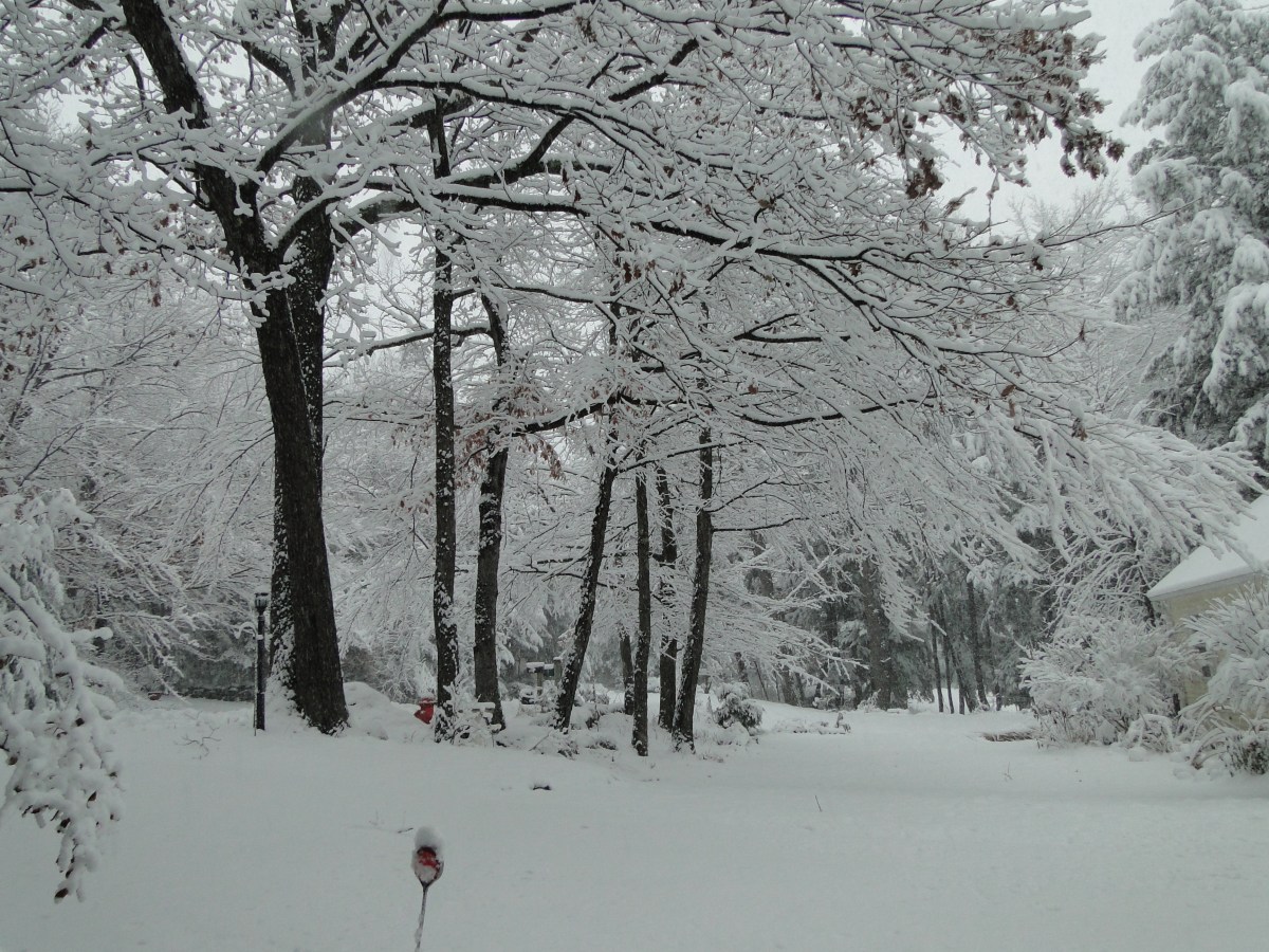 Remembering Life in New&nbsp;England