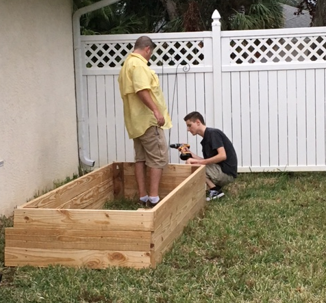 pine wood raised bed