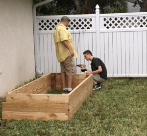 pine wood raised bed