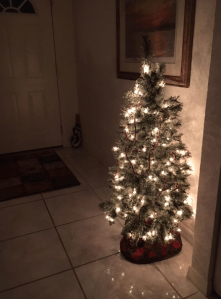 screen-shot-2016-12-21-at-8-35-58-am