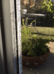 screen-shot-2017-01-31-at-4-10-05-pm