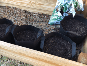 black fabric pots