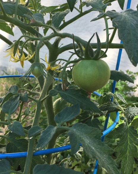 screen-shot-2017-03-02-at-12-01-31-pm