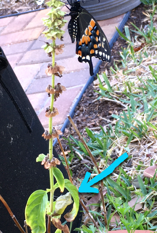 Screen Shot 2017-04-20 at 2.34.44 PM