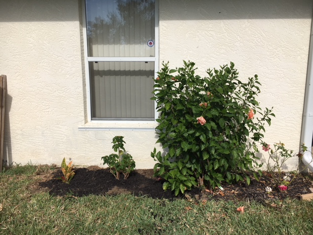 Screen Shot 2017-11-20 at 9.46.38 AM