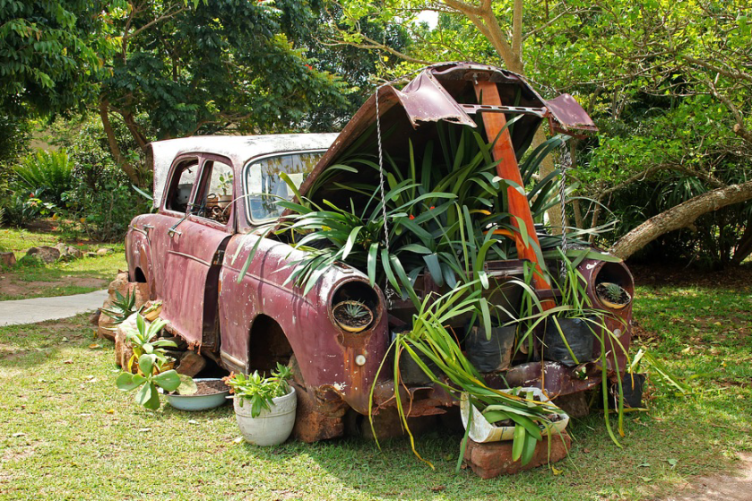 old car used as plant stand