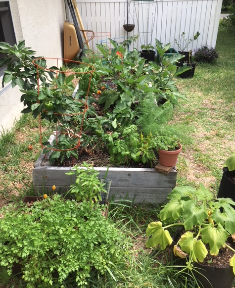 May garden in florida