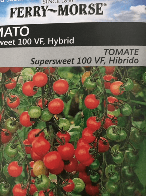 Finally, Growing Tomatoes Advice For the Florida&nbsp;Climate