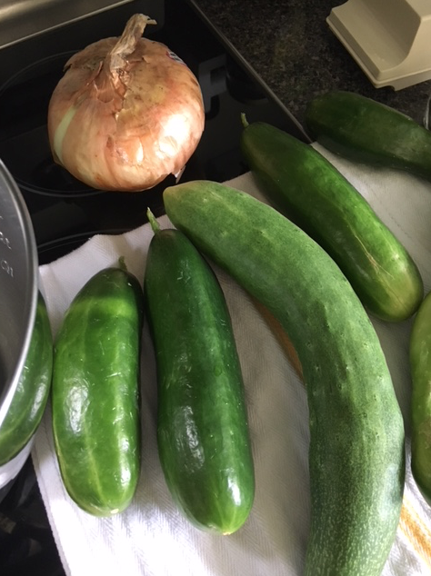 Cucumbers and onion