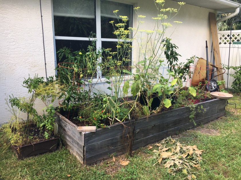 end of summer garden