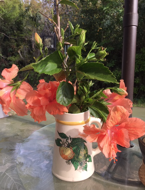 Milk jug vase with orange hibiscus flowers and cuttings