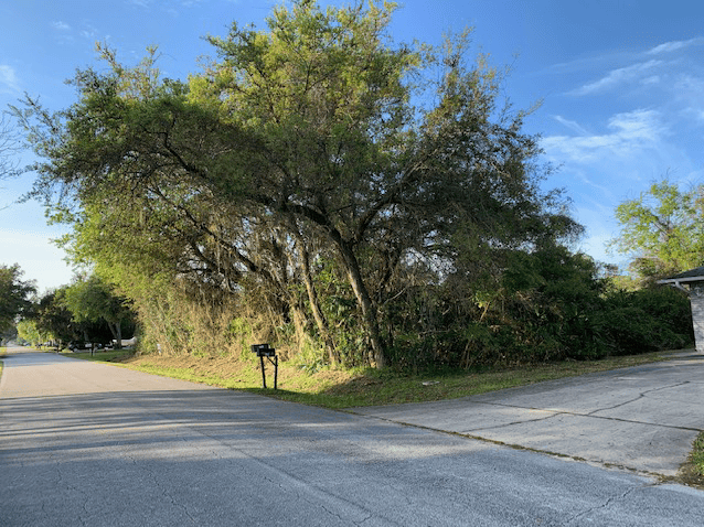 An uncleared lot in a neighborhood of houses