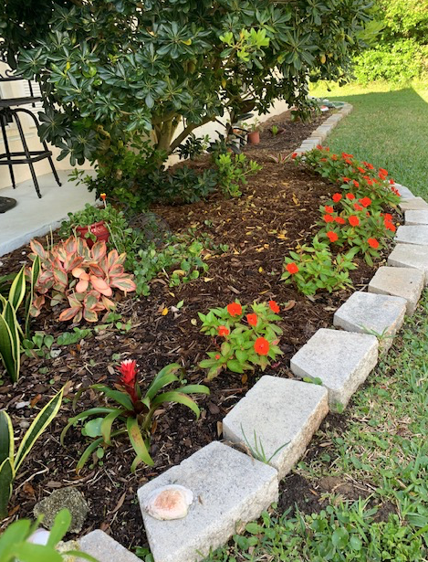 Front garden with extension