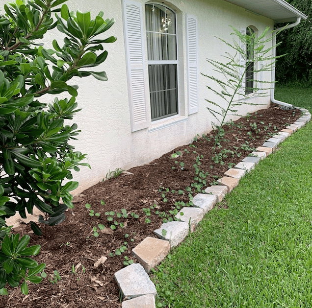front garden area