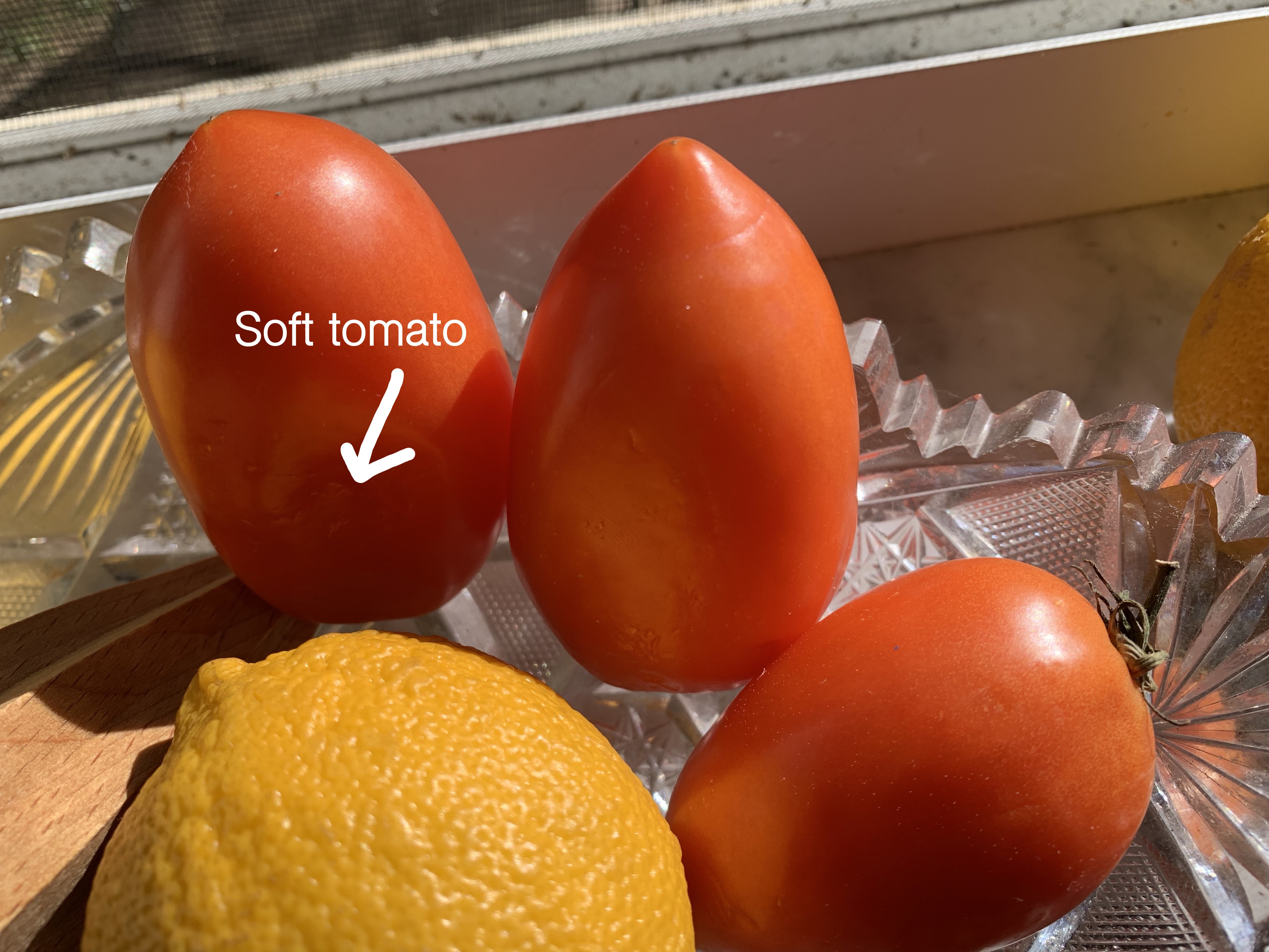 Roma tomatoes