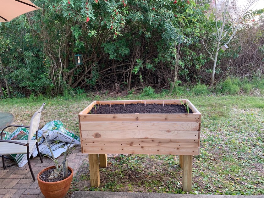 Raised bed made of cedar wood