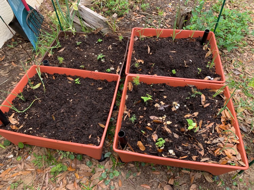 Gardens planted