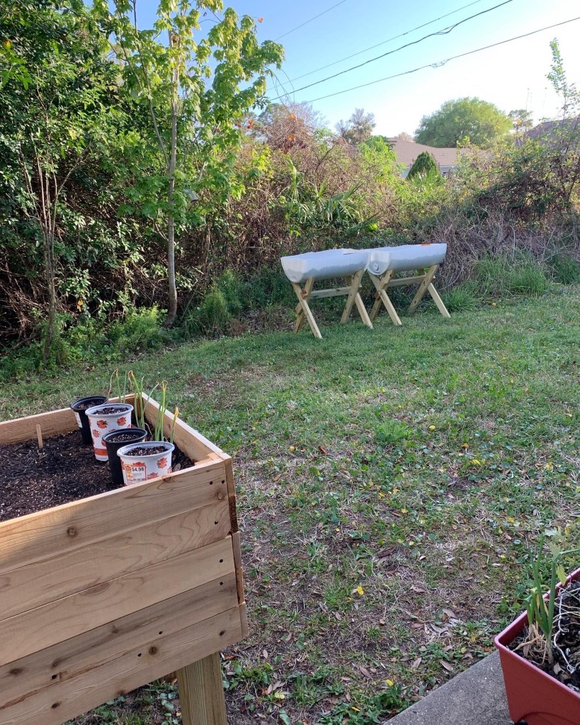 small backyard gardening