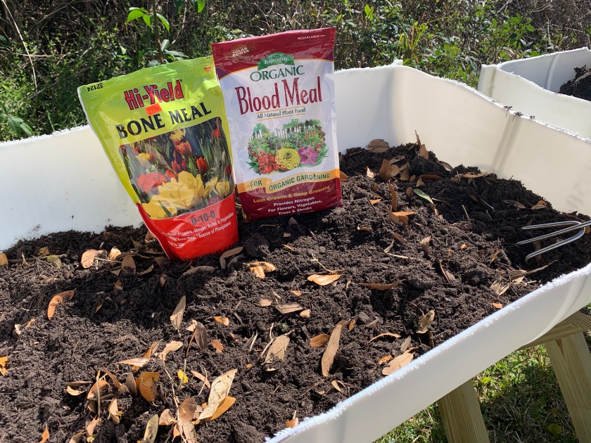 planting potatoes in raised container beds