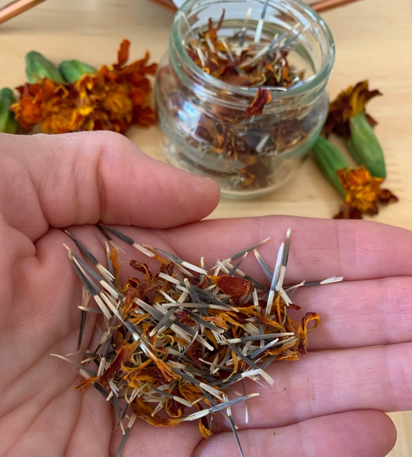 marigold seeds