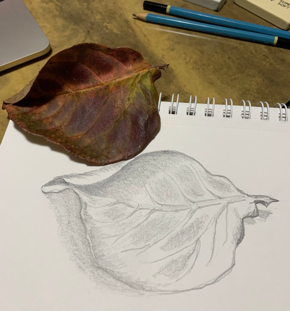 Pencil art big leaf