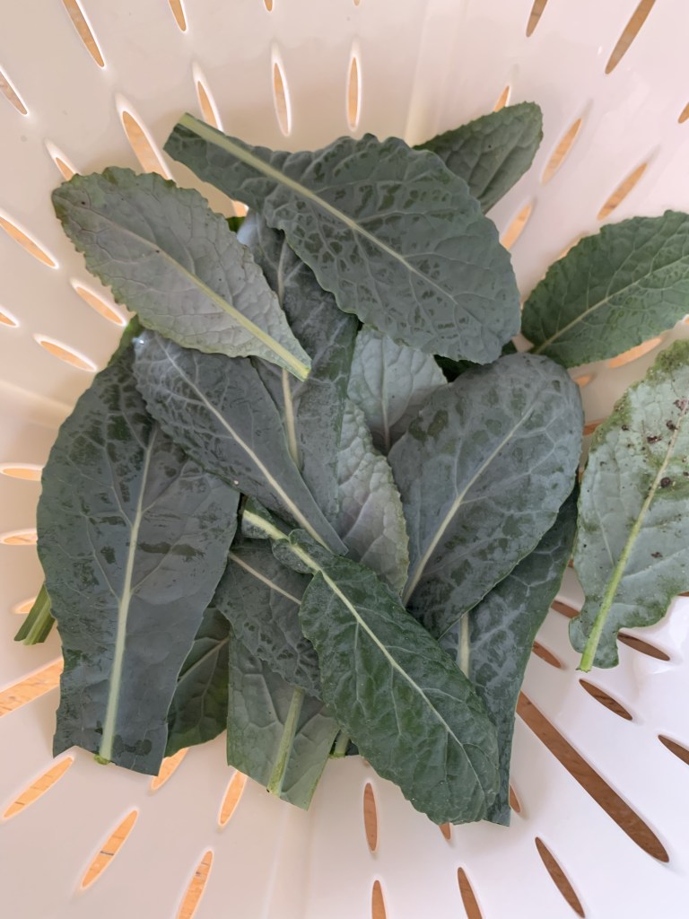 garden kale