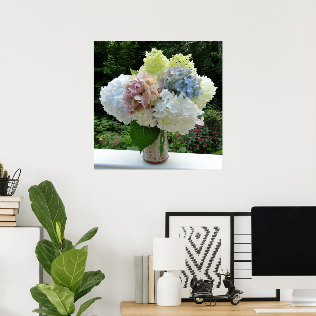 Hydrangea flowers in a vase poster.  Size 24 inches square, white, pink and blue hydrangea blooms overflow in a ceramic vase.