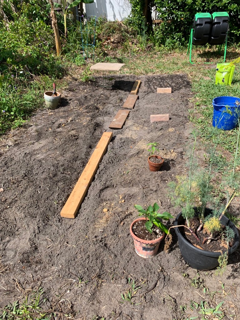 backyard garden planting