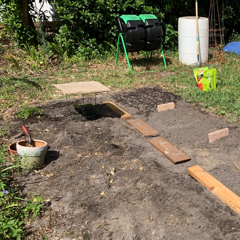 planting backyard garden