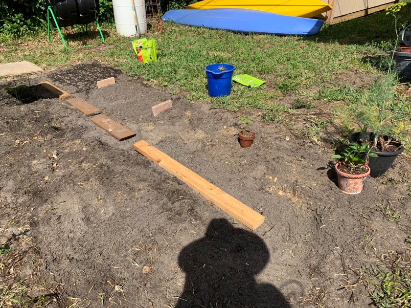 florida backyard garden