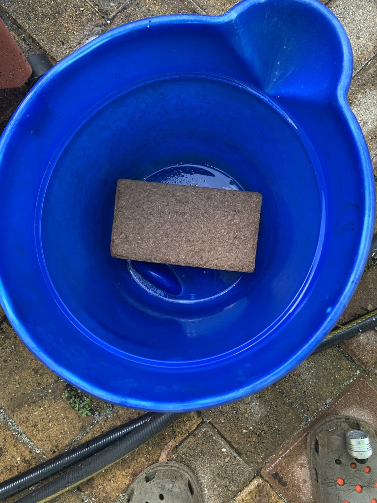 coconut coir block in bucket