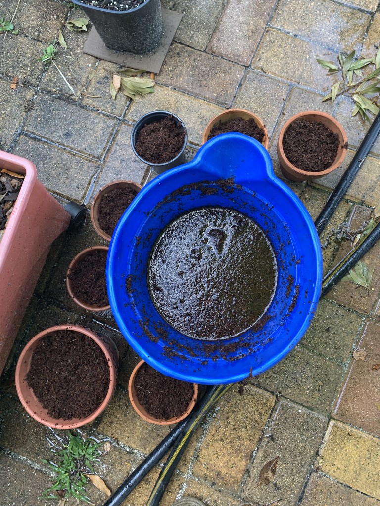planting medium coconut coir