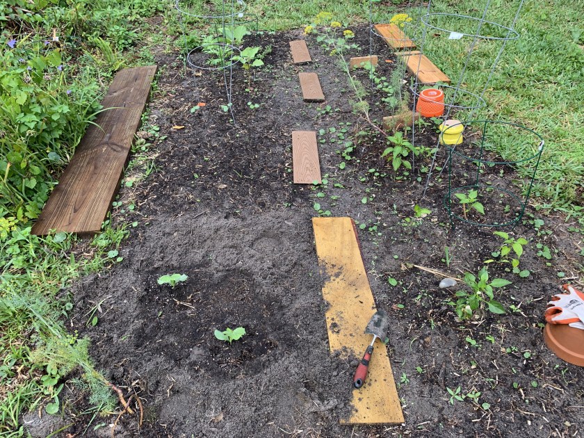 vegetable garden spring