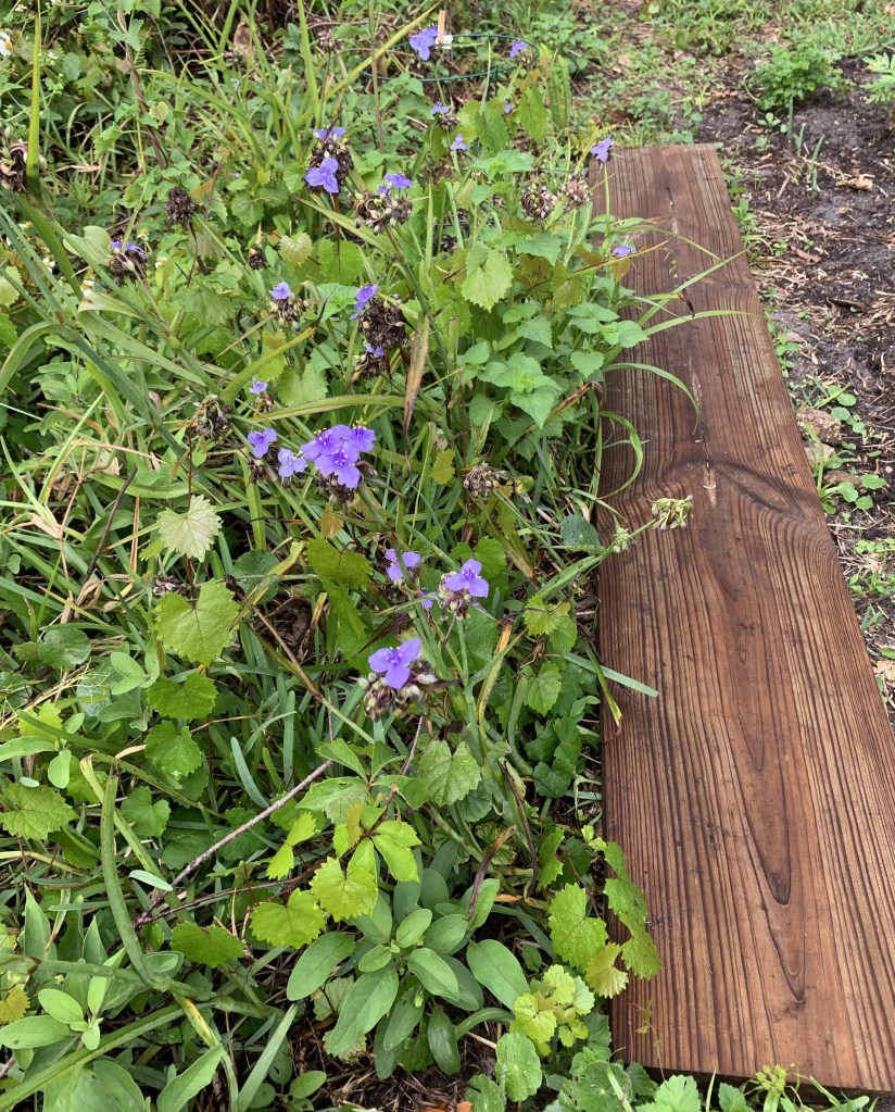 board to keep out weeds