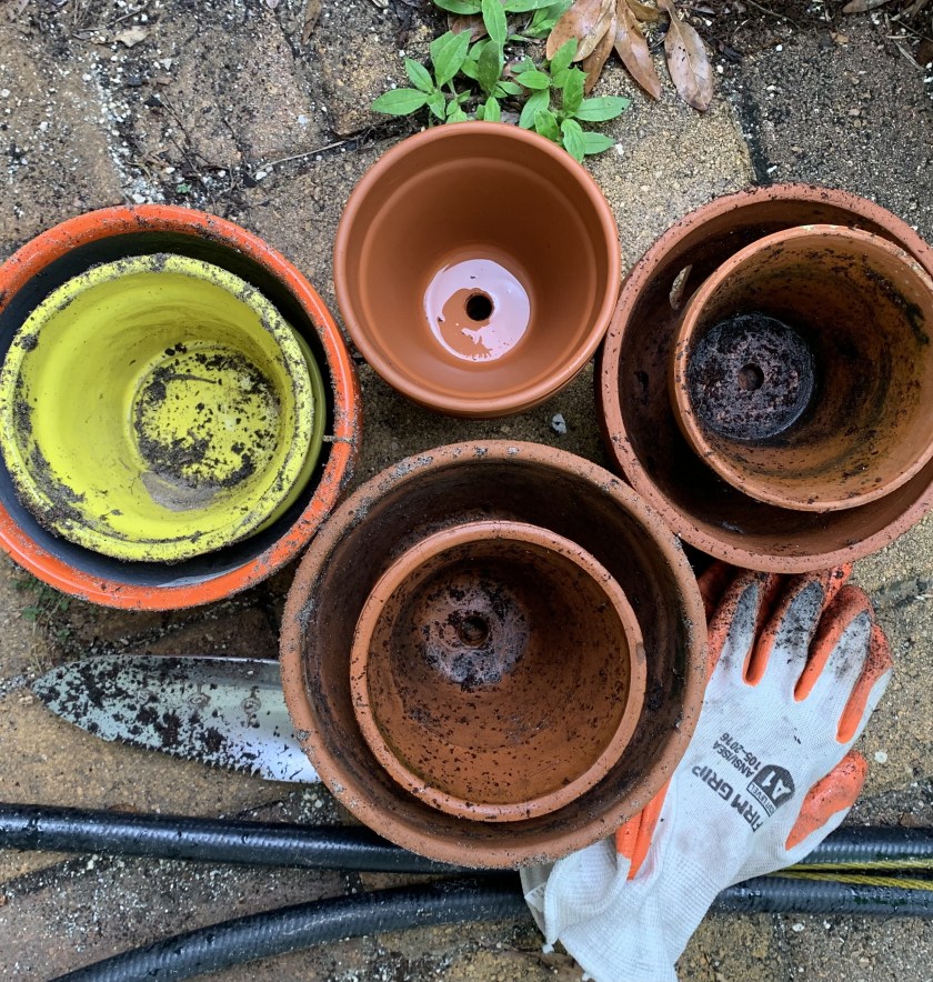 clay and ceramic pots for planting