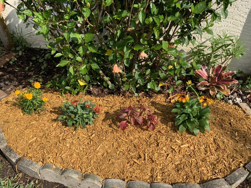 New flower garden planted