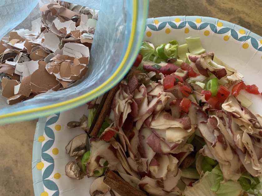eggshells and vegetable peels for composting