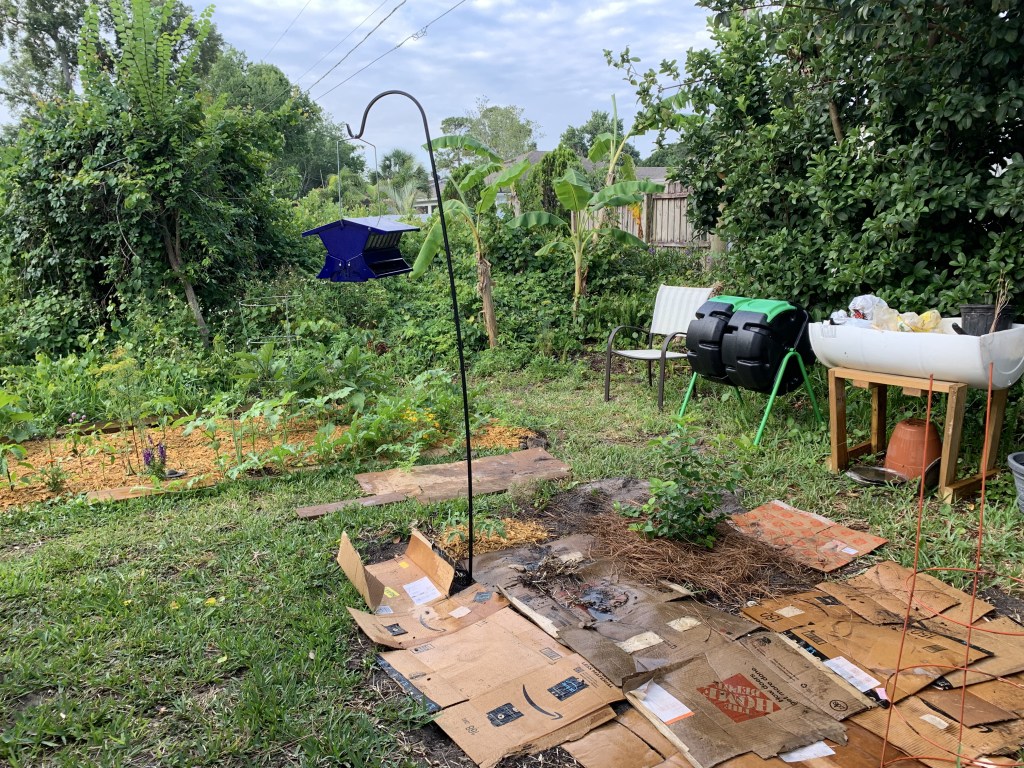 florida backyard gardens